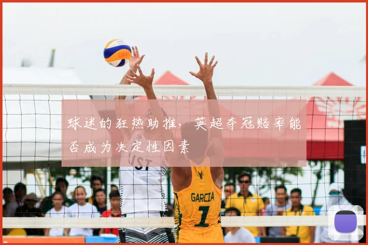 球迷的狂热助推,英超夺冠赔率能否成为决定性因素